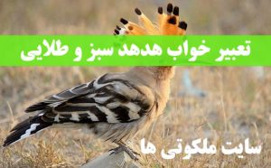 تعبیر خواب هدهد سبز و طلایی - پرنده هدهد گرفتن در خواب تعبیرش چیست