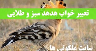 تعبیر خواب هدهد سبز و طلایی - پرنده هدهد گرفتن در خواب تعبیرش چیست