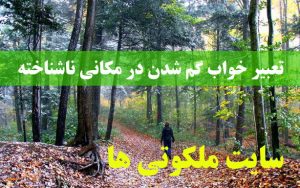 تعبیر خواب گم شدن در مکانی ناشناخته - معنی و مفهوم گم شدن در خواب