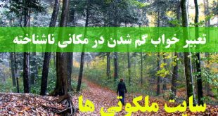 تعبیر خواب گم شدن در مکانی ناشناخته - معنی و مفهوم گم شدن در خواب