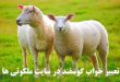 تعبیر خواب گوسفند و گوشت گوسفند - دیدن گوسفند قربانی در خواب تعبیرش چیست
