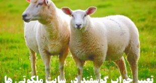 تعبیر خواب گوسفند و گوشت گوسفند - دیدن گوسفند قربانی در خواب تعبیرش چیست
