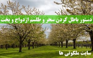 دستور باطل کردن سحر و طلسم ازدواج و بخت گشایی دختران