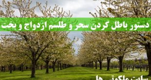 دستور باطل کردن سحر و طلسم ازدواج و بخت گشایی دختران