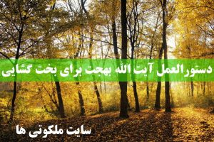 دستورالعمل آیت الله بهجت برای بخت گشایی و ازدواج سریع