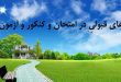 دعای قبولی در امتحان و کنکور - دعای موفقیت در آزمون و مصاحبه