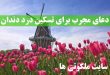 دعای مجرب برای تسکین درد دندان - دعای التیام بخشیدن به درد دندان