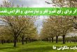 ذکر برای رفع غم و فقر و نیازمندی - دعای افزایش نعمت و روزی