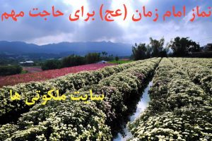 نماز امام زمان در شب جمعه برای حاجت و طلب خواسته مهم